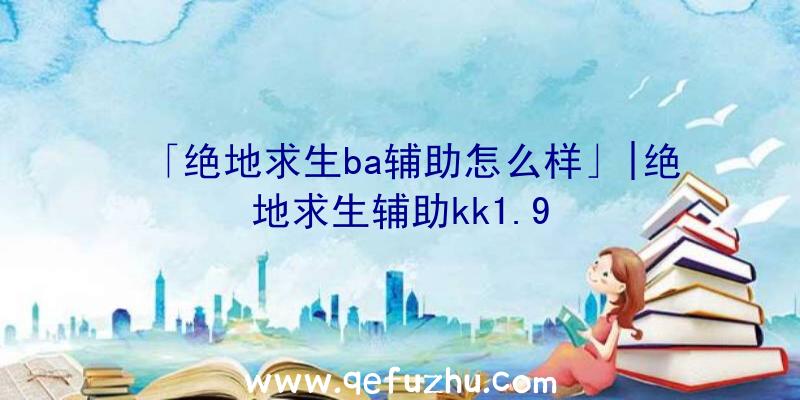 「绝地求生ba辅助怎么样」|绝地求生辅助kk1.9